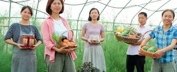 เมื่อหนุ่มสาวจีนนับล้าน กลับบ้านทำเกษตร
